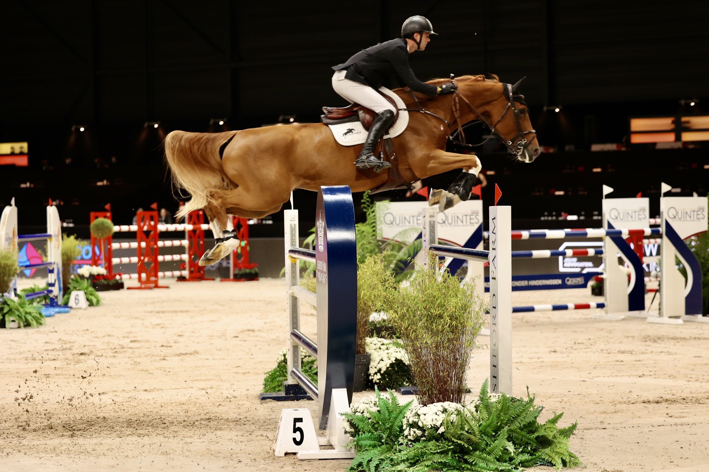 Gilles Thomas & Qalista DN onverslaanbaar in Grote Prijs van Maastricht!