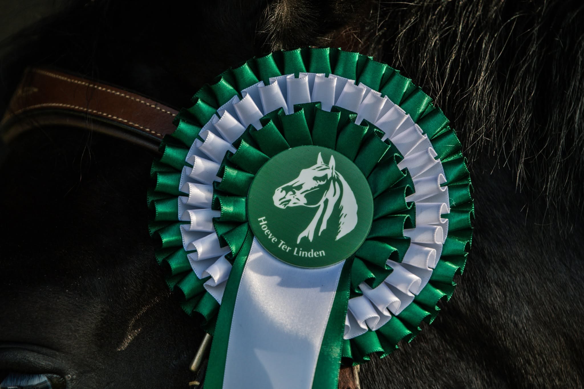 Jumping Hoeve Ter Linden maakt zich op voor vijfde editie