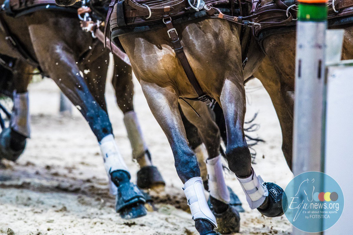 KBRSF selecteert vier menners voor Wereldkampioenschap enkelspan paarden