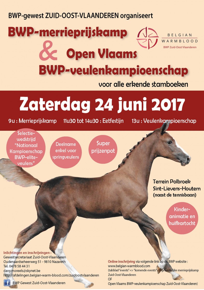 Open Vlaams BWP-veulenkampioenschap  inschrijven tot 20 juni!