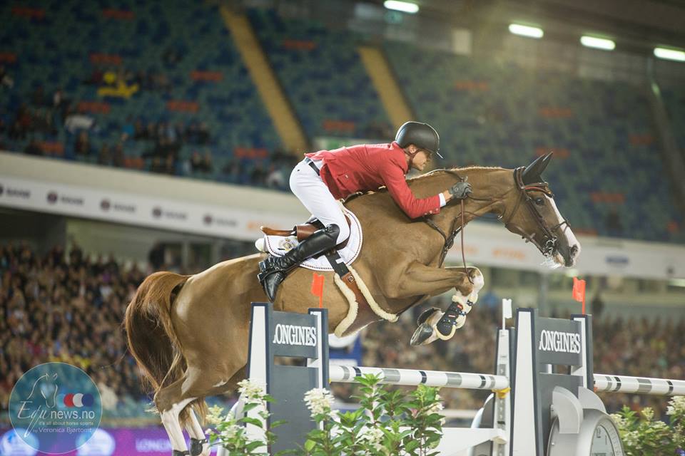 Wendy Laeremans: “Olympische paarden zijn niet de moeilijkste passagiers.”