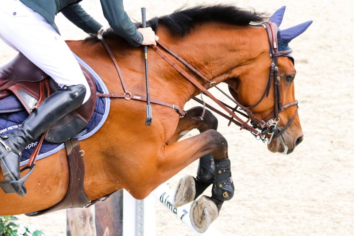 Cassandre Malherbe grijpt zevende plaats in Vilamoura, Belgische paarden verbazen