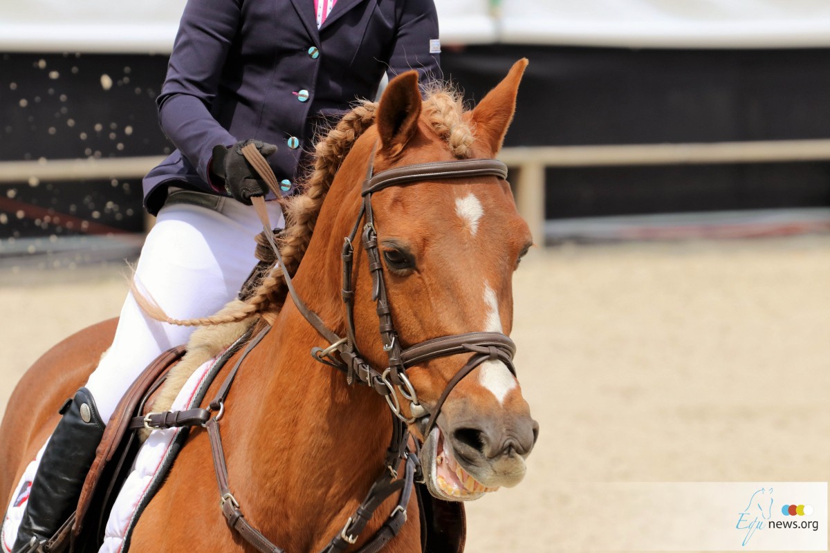 Lieselot Kooremans knap derde in Pony Grand Prix Opglabbeek