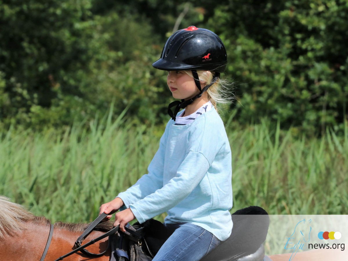 Paardrijden steeds populairder in Vlaanderen