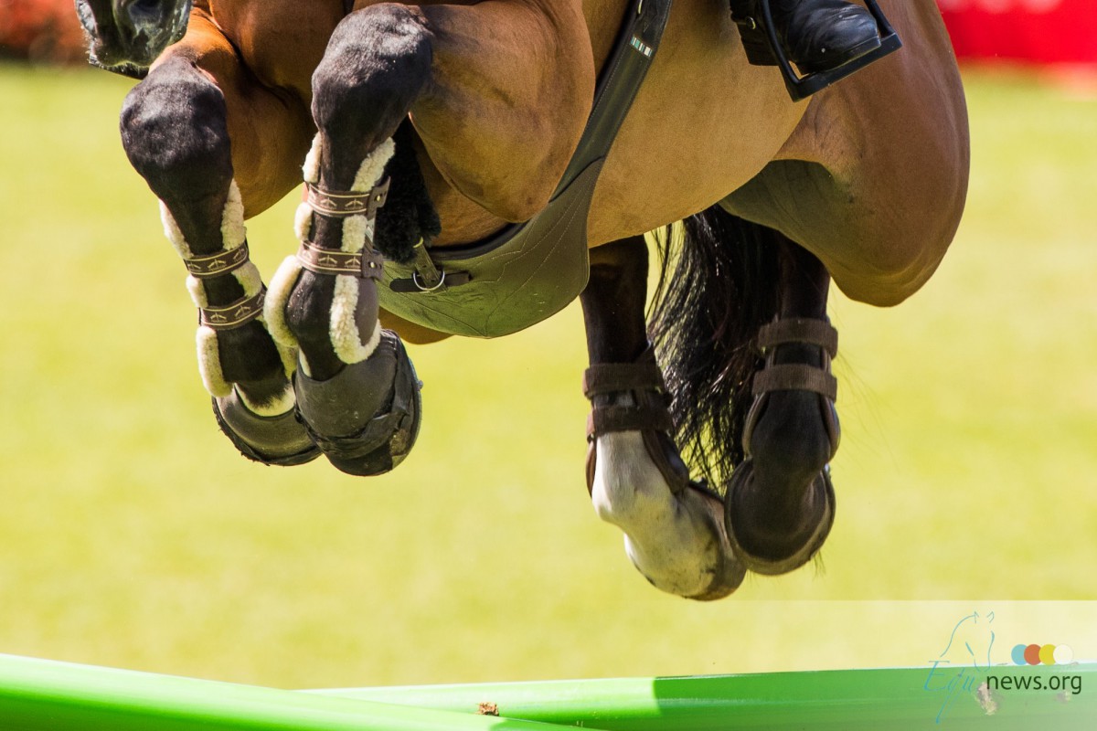 Belgische paarden kleuren het podium in Vilamoura