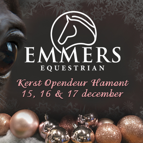 Kerst Opendeurdagen op 15, 16 & 17 december bij Ruitersport Emmers!