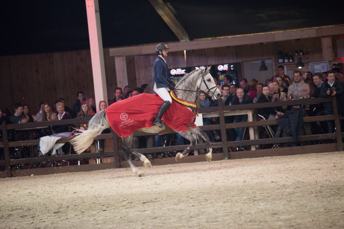 Bob Janssens naar de winst in de 6-jarige hengstencompetitie op Flanders Horse Expo