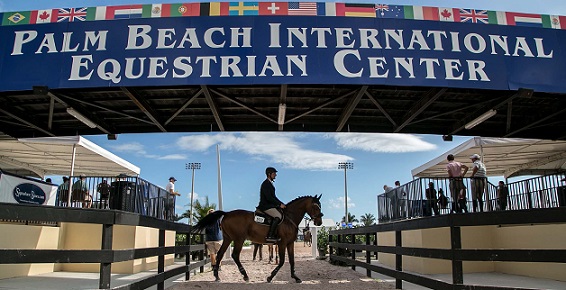 WEF and Global Dressage Festival to proceed with public