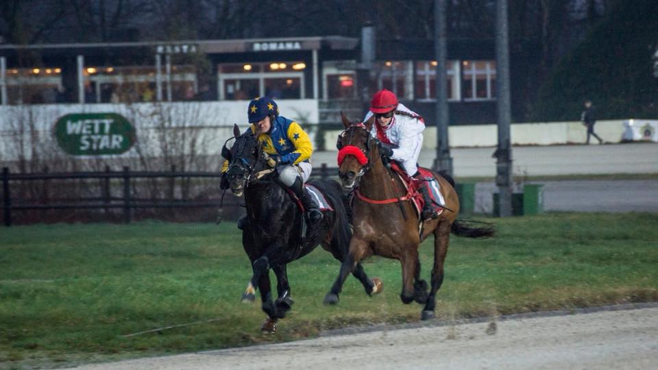 Gamblers are betting massively on Swedish equestrian sports