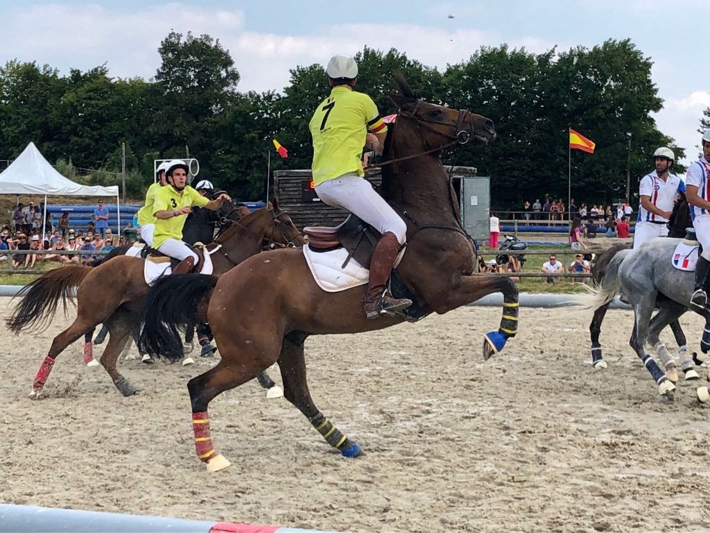 Belgische Horseball ploegen klaar voor WK 2019