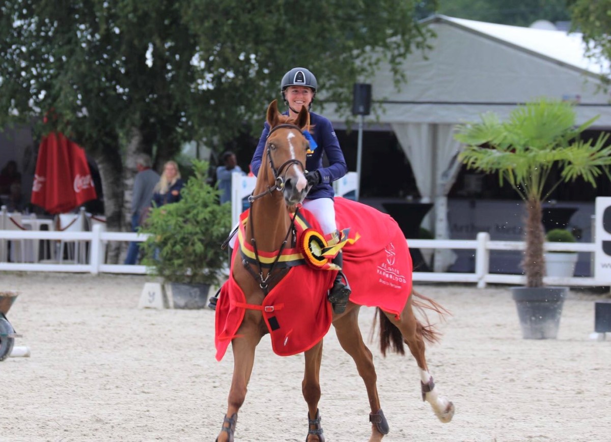 Negen vierjarige paarden werken het Belgisch Kampioenschap volledig foutloos af