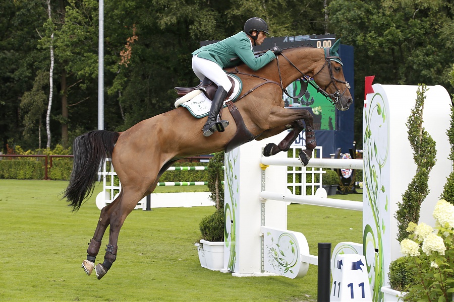 Two new talented horses for Abdullah Al Sharbatley