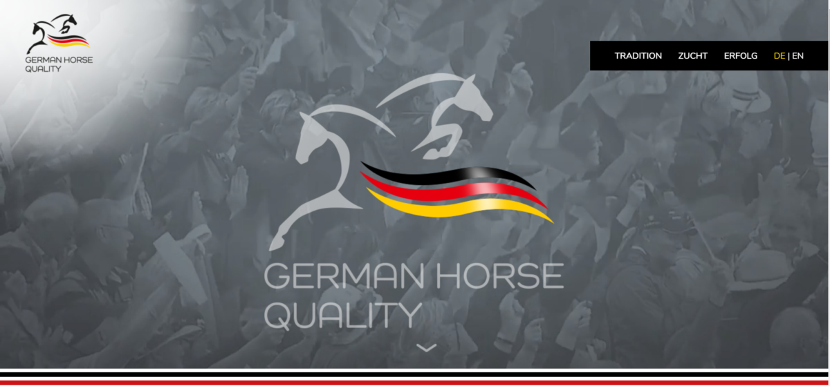Duitse fokkerij komt met nieuw kwaliteitslabel 'German Horse Quality'