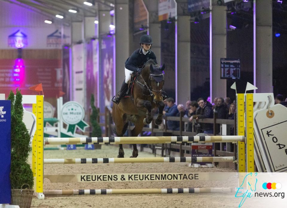 Hengstencompetitie waait nieuwe wind en wordt Lannoo Belgian Stallion Competition