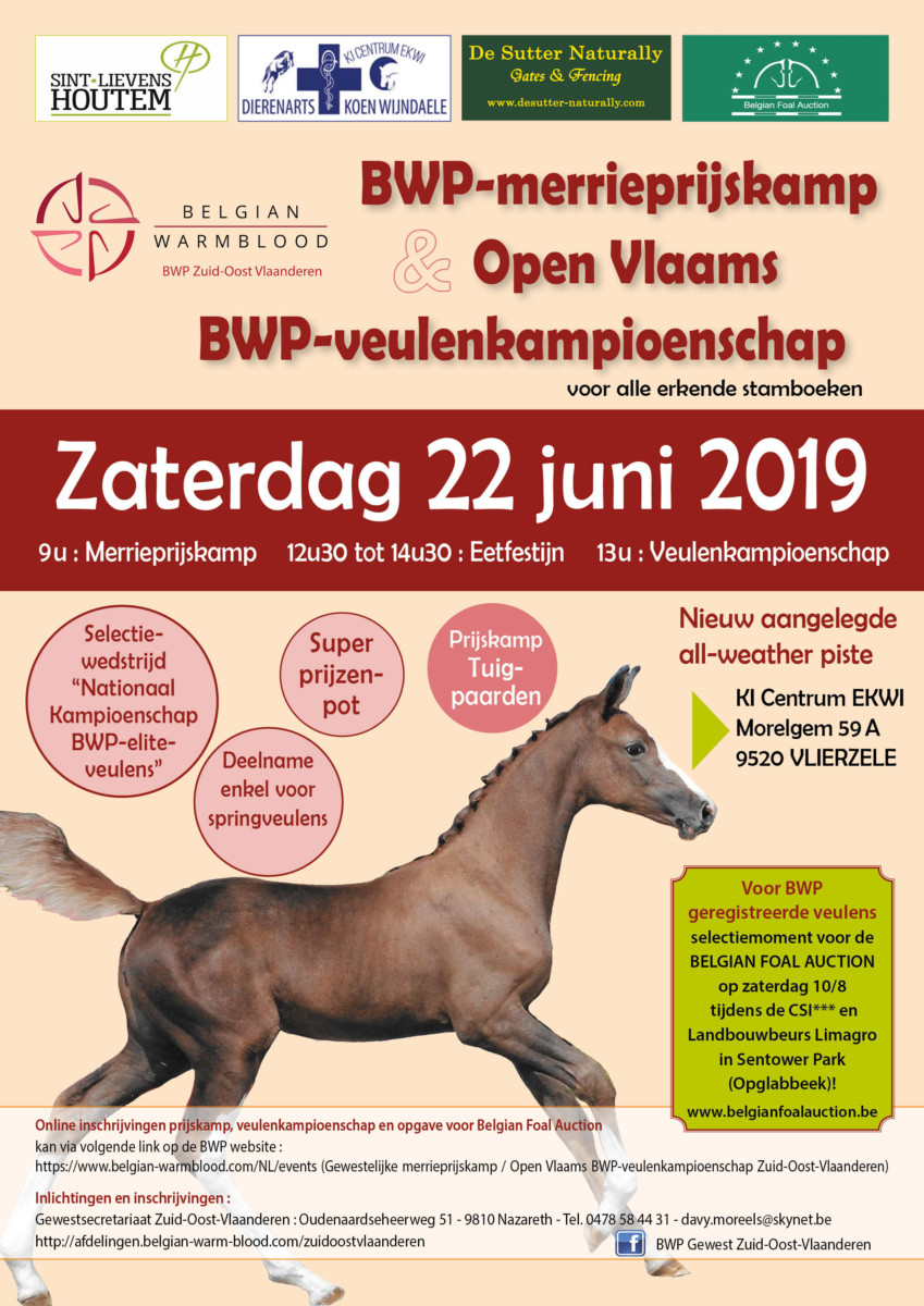 Selectiemoment Belgian Foal Auction tijdens Open Vlaams BWP-  veulenkampioenschap van zaterdag 22 juni!