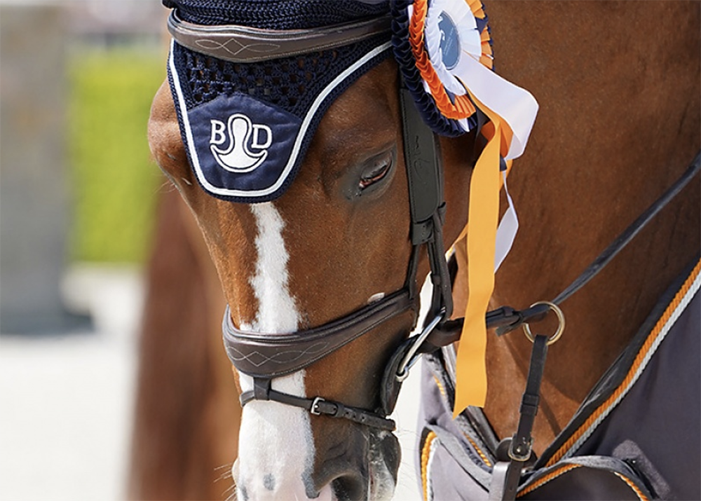 Great-Britain on top in Sharjah Equestrian Nations Cup