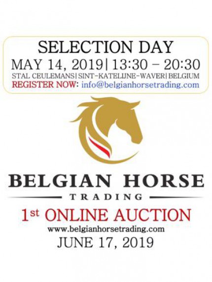 PROMO: Paarden kopen of verkopen doe je met het unieke concept van Belgian Horse Trading