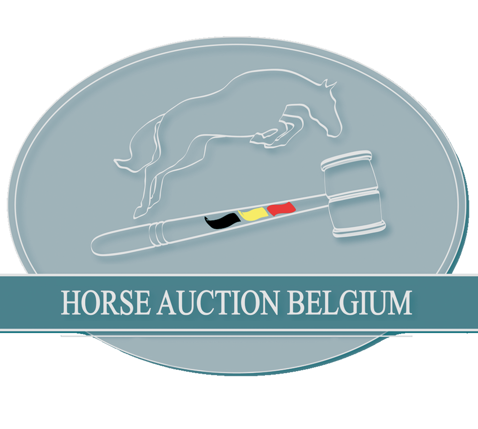 Horse Auction Belgium: "De kwaliteit merk je duidelijk in de referenties..."