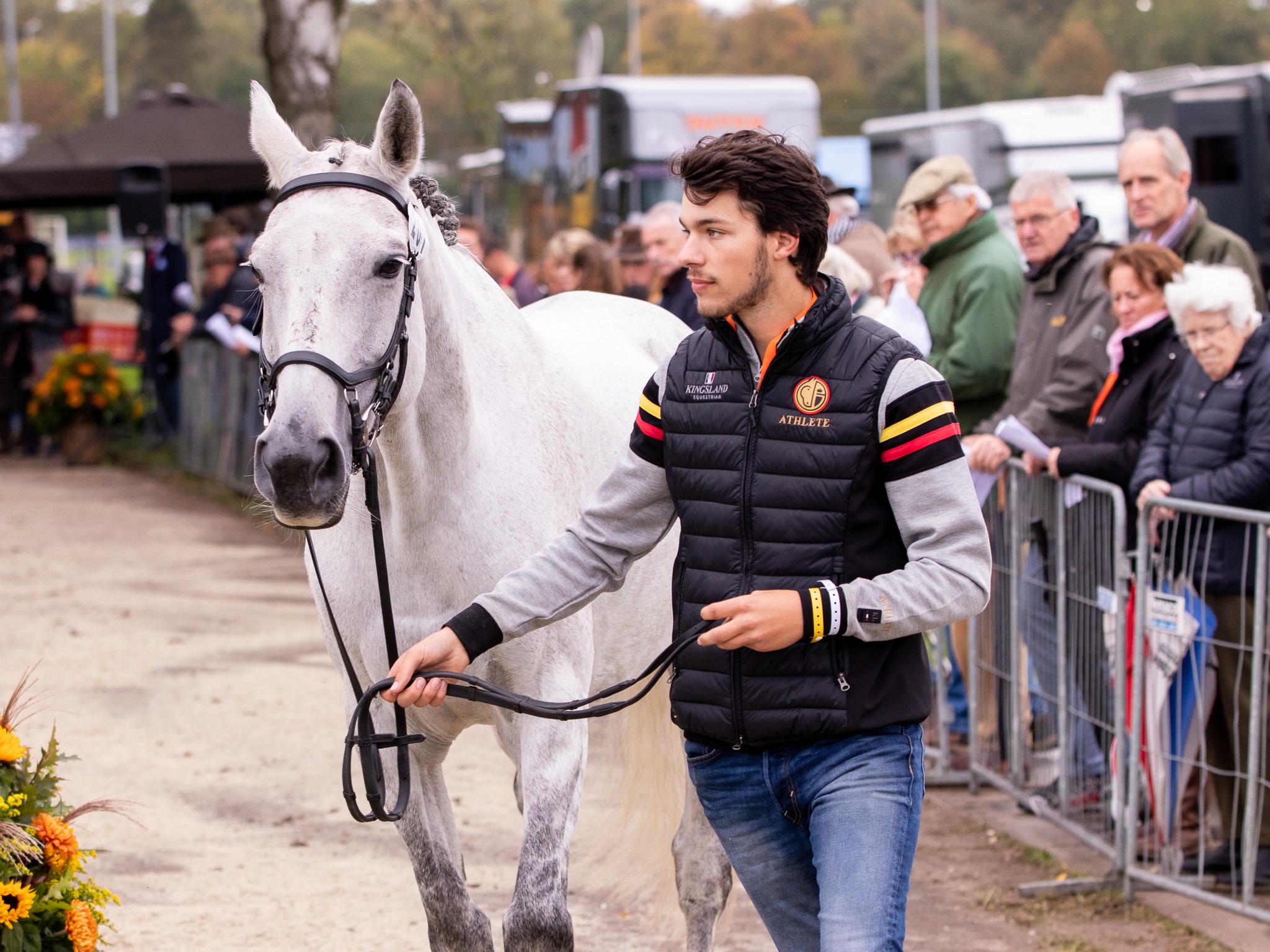Belgische paarden fit to compete in Boekelo : "Op naar Tokyo?"