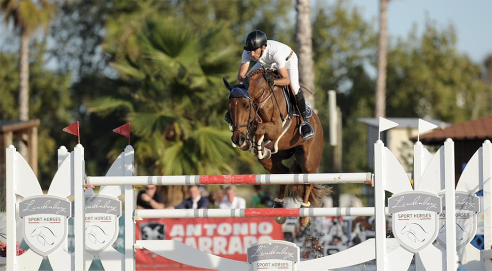 Nederlandse paarden domineren het Grand Prix podium in Oliva
