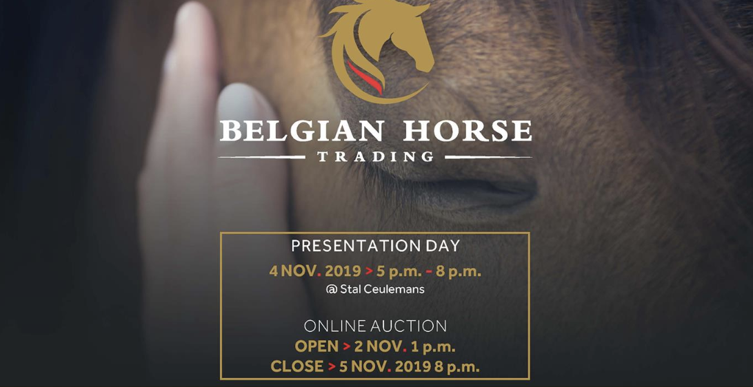 Nieuwe Belgian Horse Trading verzamelt sterke selectie jonge talenten