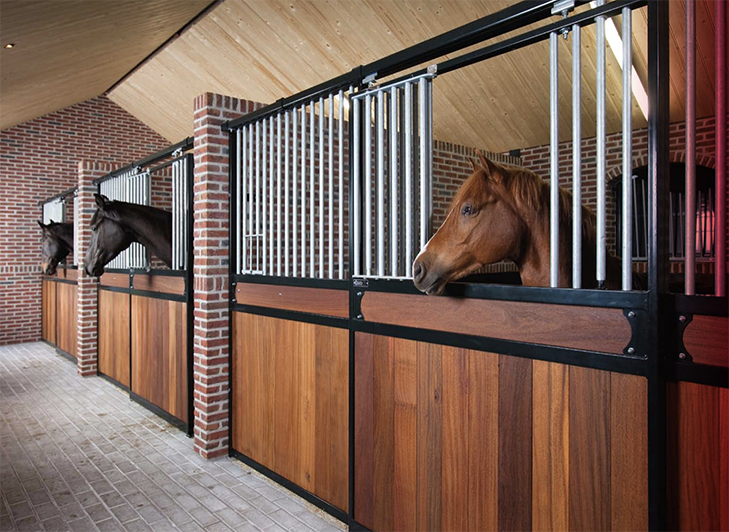 Belgische paardenboxen veroveren de wereld...