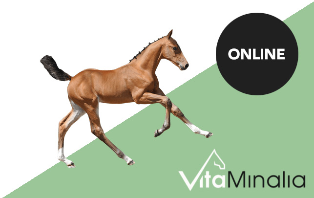 Vitaminalia lanceert online : "All in one  supplmenten van ruiters voor paarden"