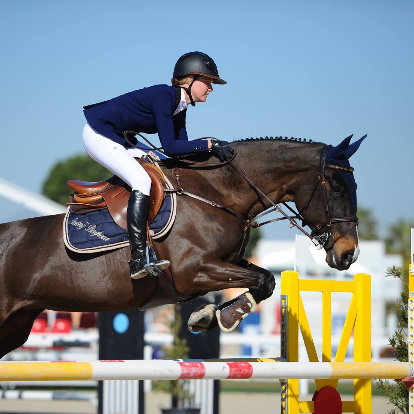 Corona-blog met Charlotte Van den Bosch: "We hebben de jonge paarden laten vrijspringen, zo weten we wat voor kwaliteit we in handen hebben"