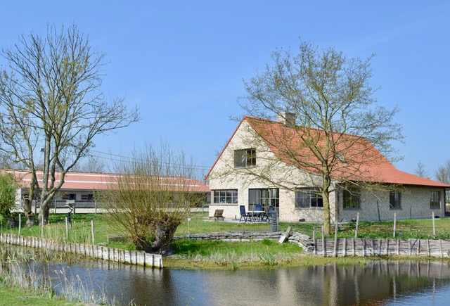 Immo in de kijker: Nieuwbouwcomplex met woning en paardenaccommodatie in Veurne