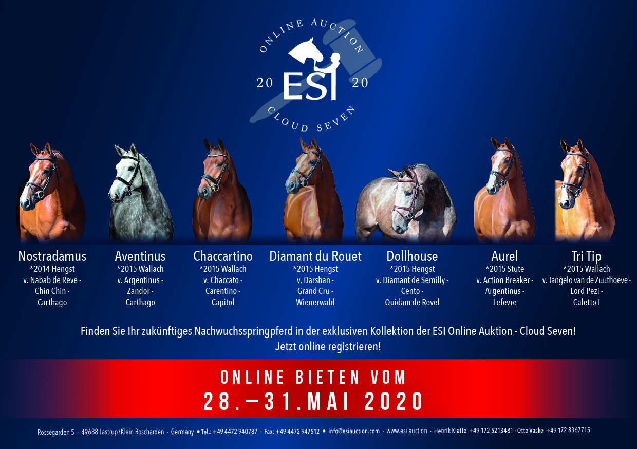 Last chance to bid on your next superstar in the ESI Online Auction!