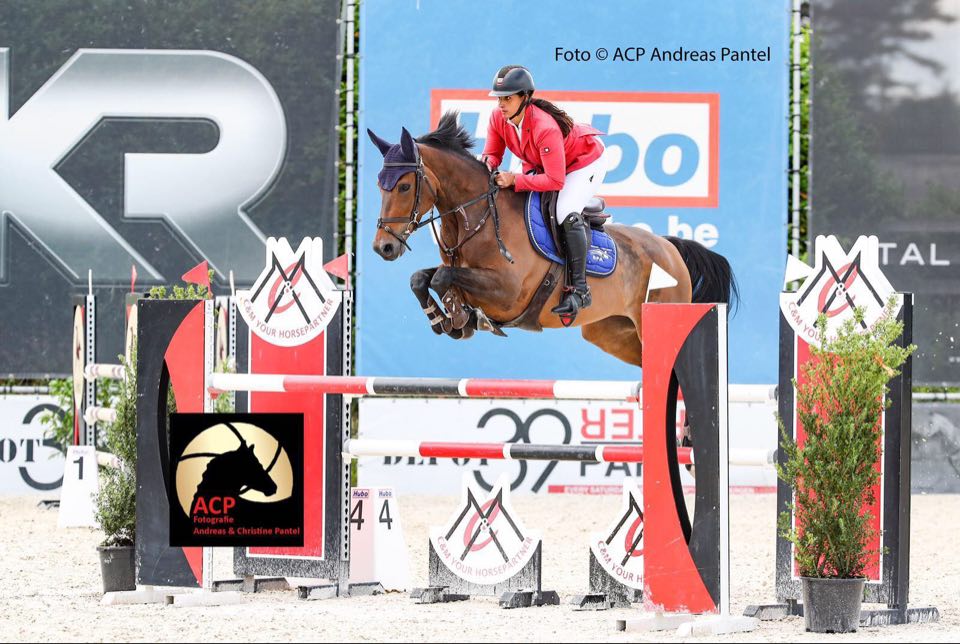 Virginie Thonon beste Belgische in finale 7-jarige paarden Bonheiden