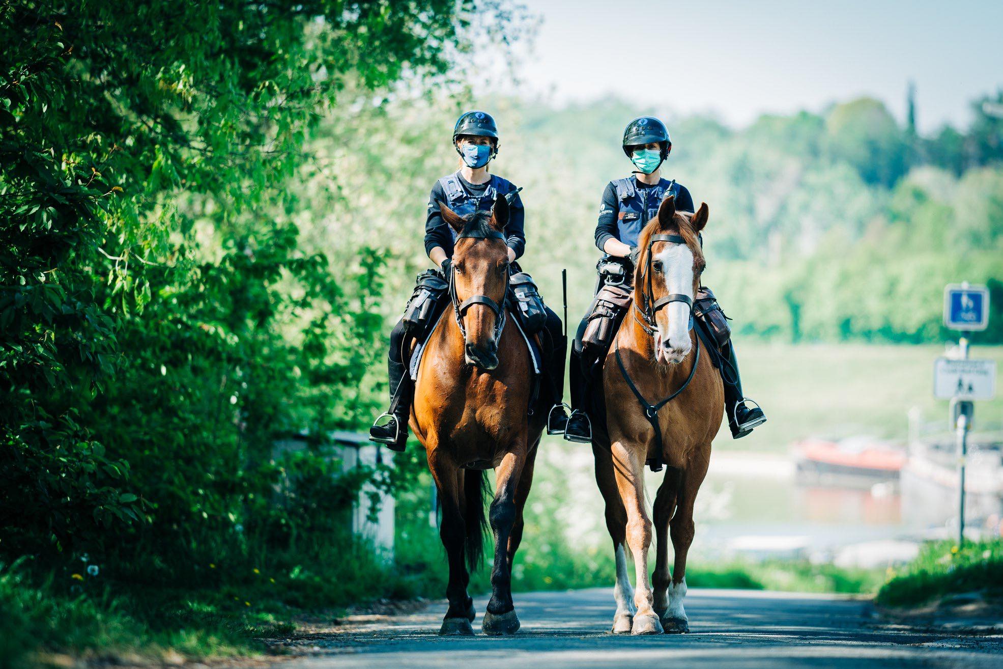 Politie te paard voedt automobilisten opnieuw op