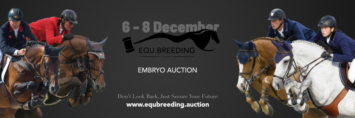 Exceptionele embryo collectie Equbreeding.auction bekend gemaakt