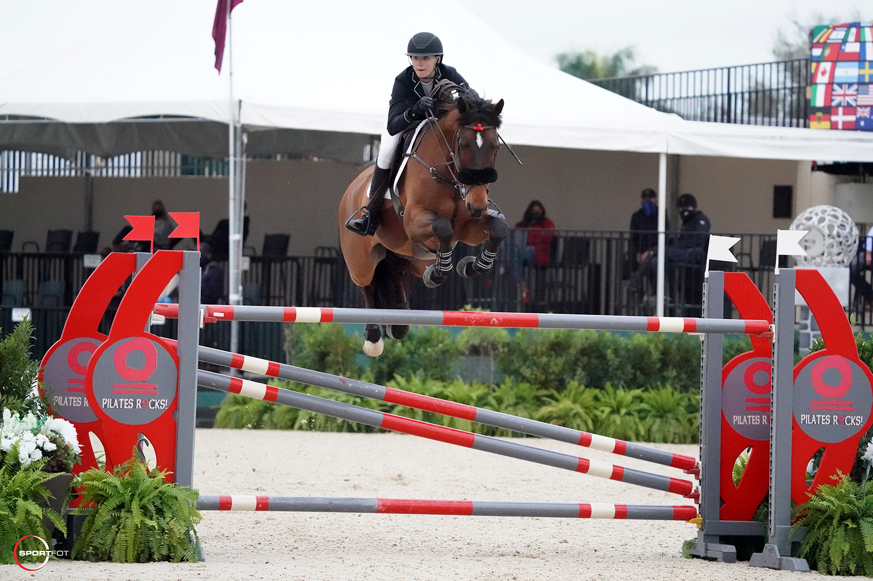 Hilary McNerney and Singuletto Take Top Honors in the Wellington Grand Prix