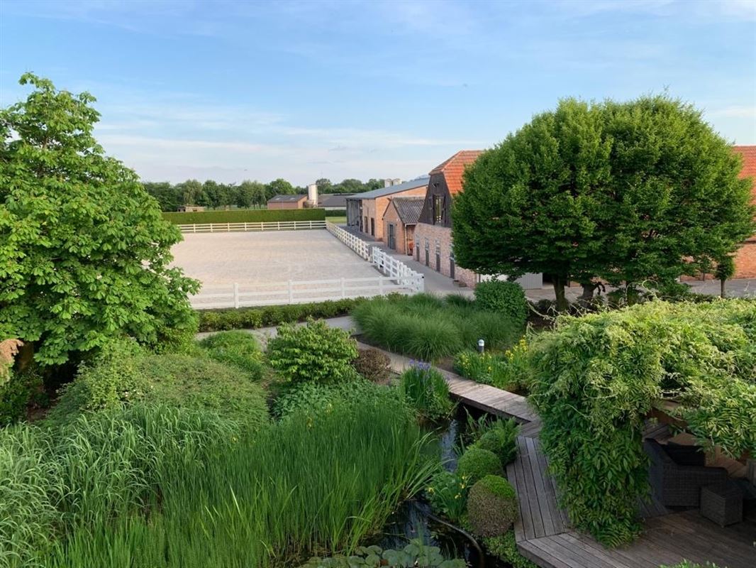 Droomstallen: Riante villa met hippisch complex in Weelde