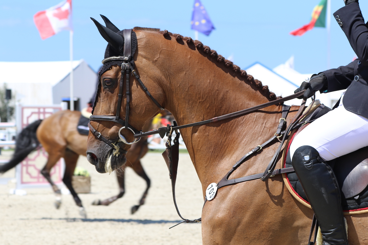 The teams, horses and riders for CSIO4* Warsaw