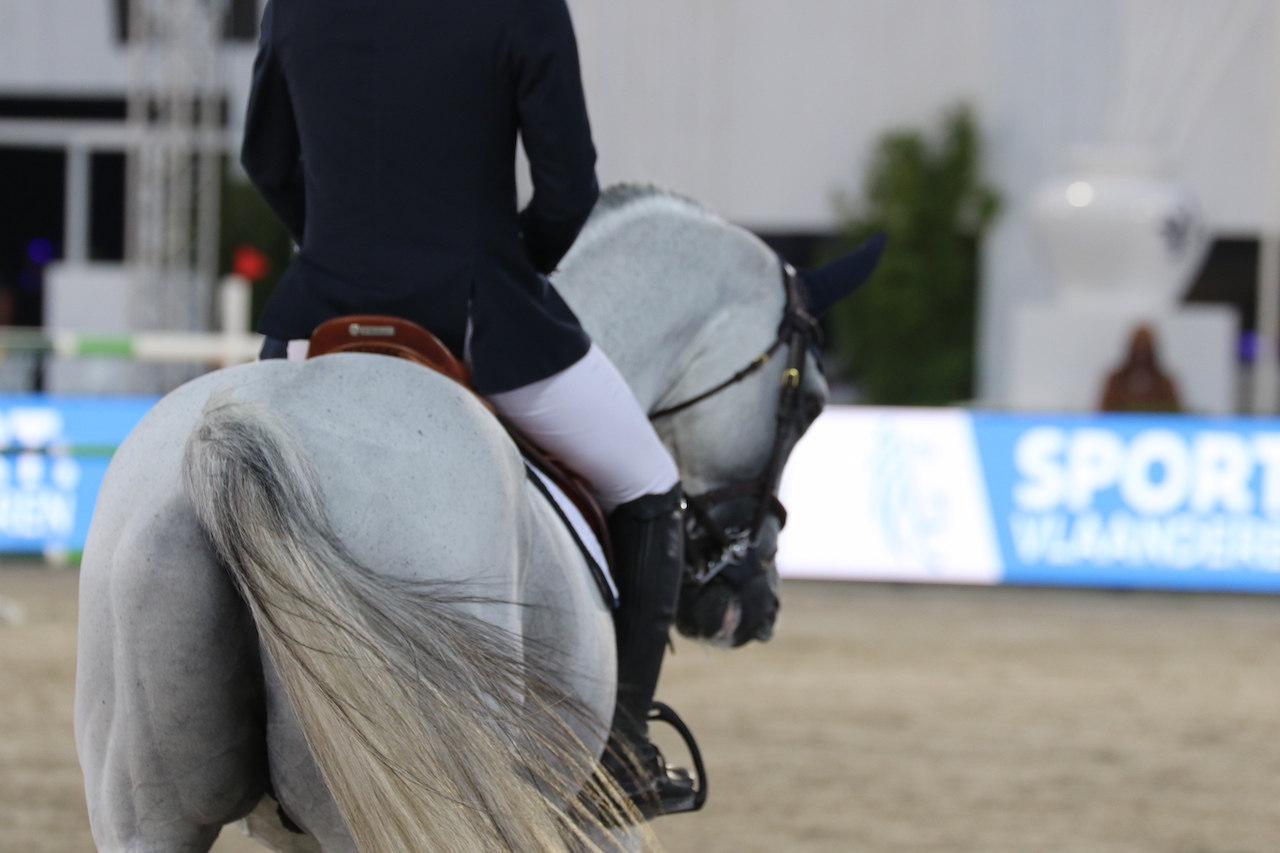 Dutch Equestrian Sports Federation bans all Russian and Belarusian equestrian athletes from equestrian events