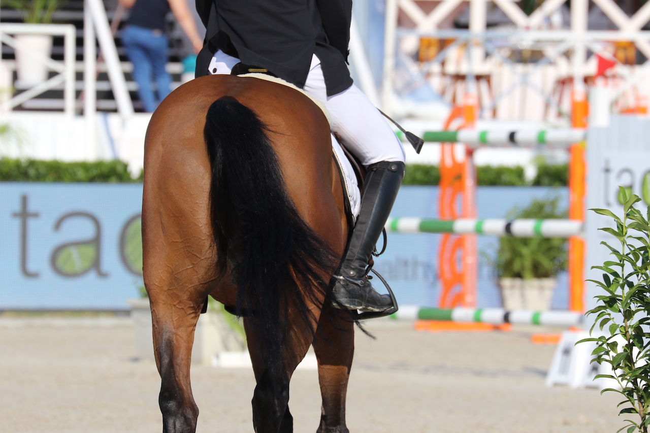 De ene annulering na de andere: Helsinki Horse Show uitgesteld naar 2022