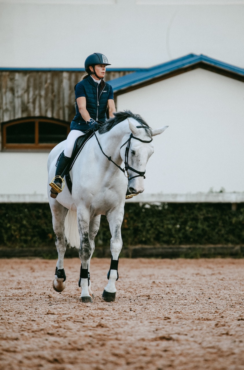 Terugkeer voor de amateursport: hoe kan je jezelf en je paard het best voorbereiden?