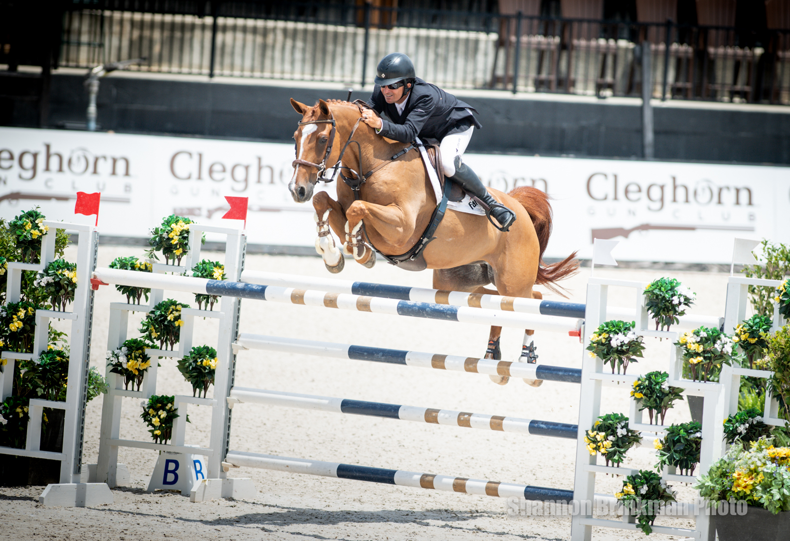 Aaron Vale Stakes Claim on Tryon Spring 6 Competition