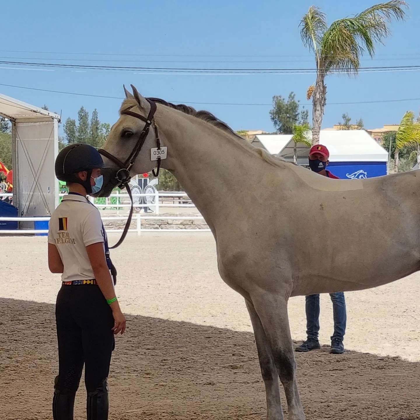 Belgische paarden 'Fit to compete' in Vilamoura