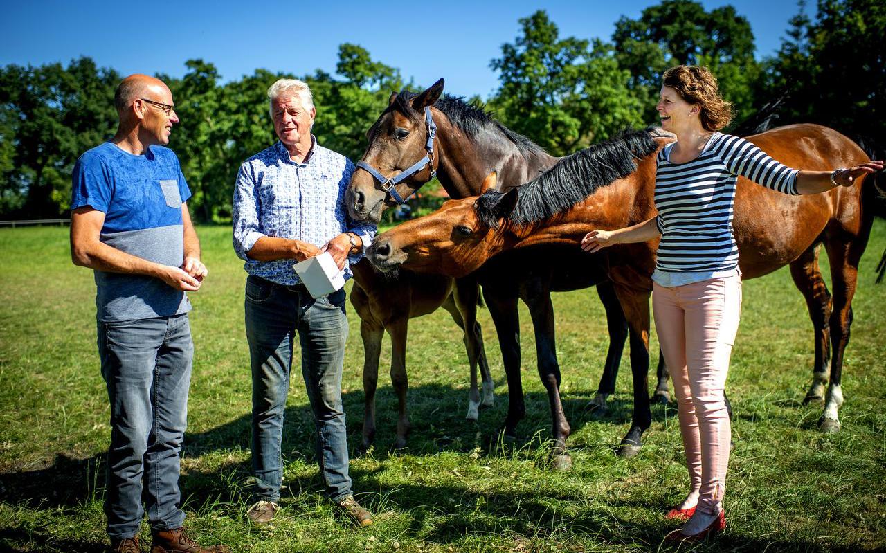 Westerkwartier Paardenkwartier: Paarden goed alternatief voor veehouderij