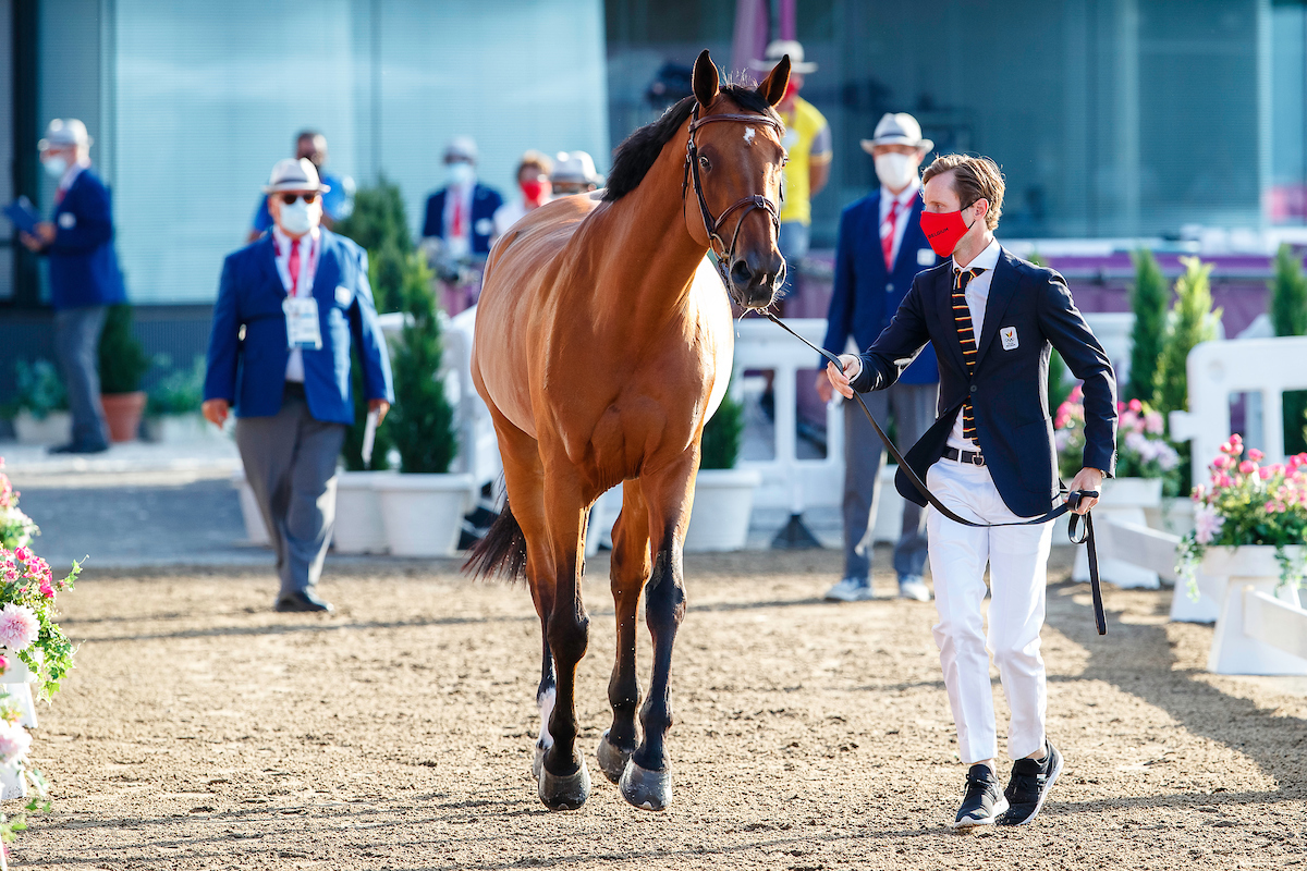 Alle Belgische paarden 'fit to compete'. Devos als eerste van start.