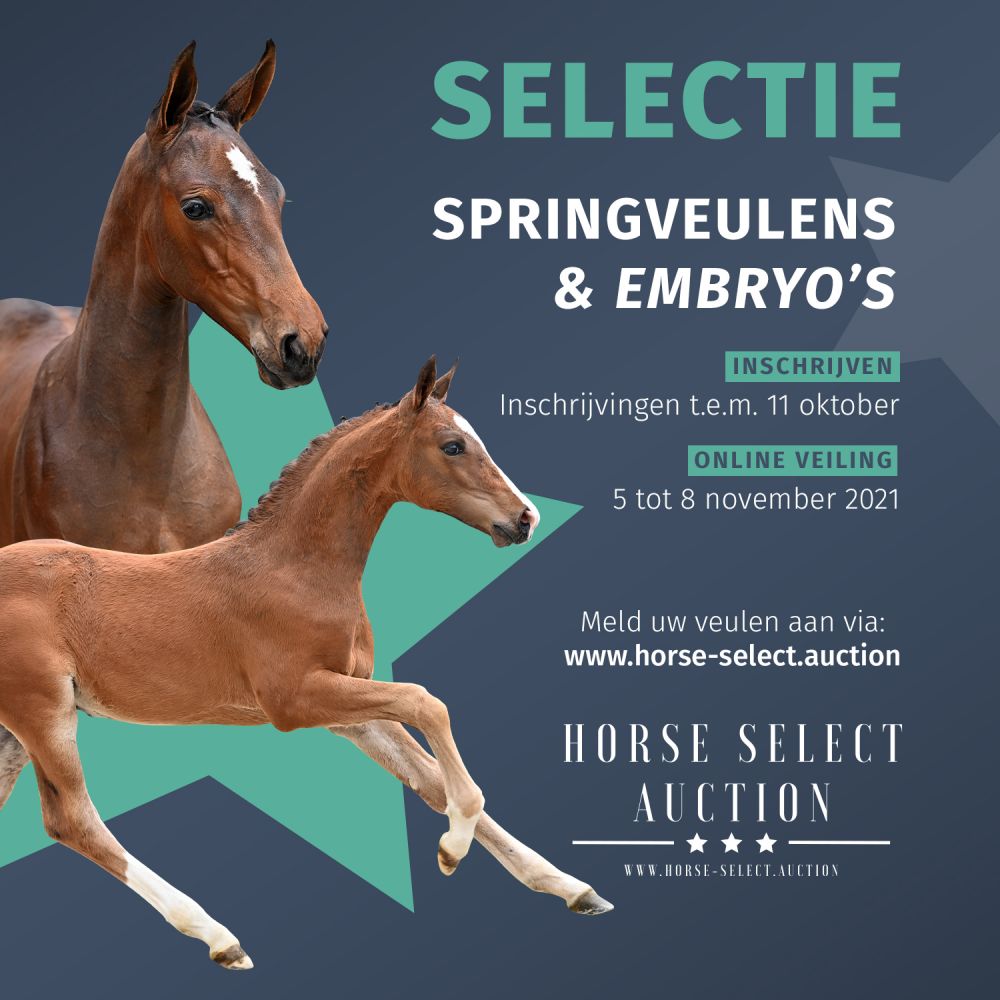 Schrijf je nu in voor de Horse Select Auction!