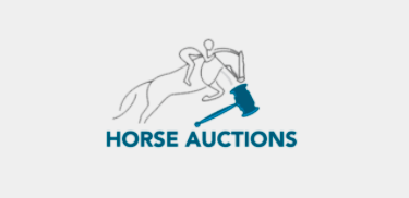 All Horse Auctions: alle paardenveilingen op een rijtje