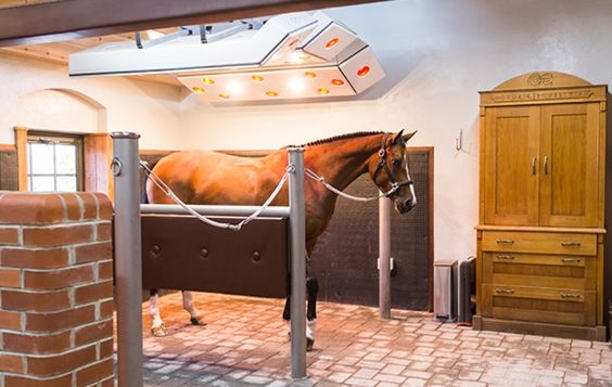 What to do if your horse won't stay still in the grooming area?