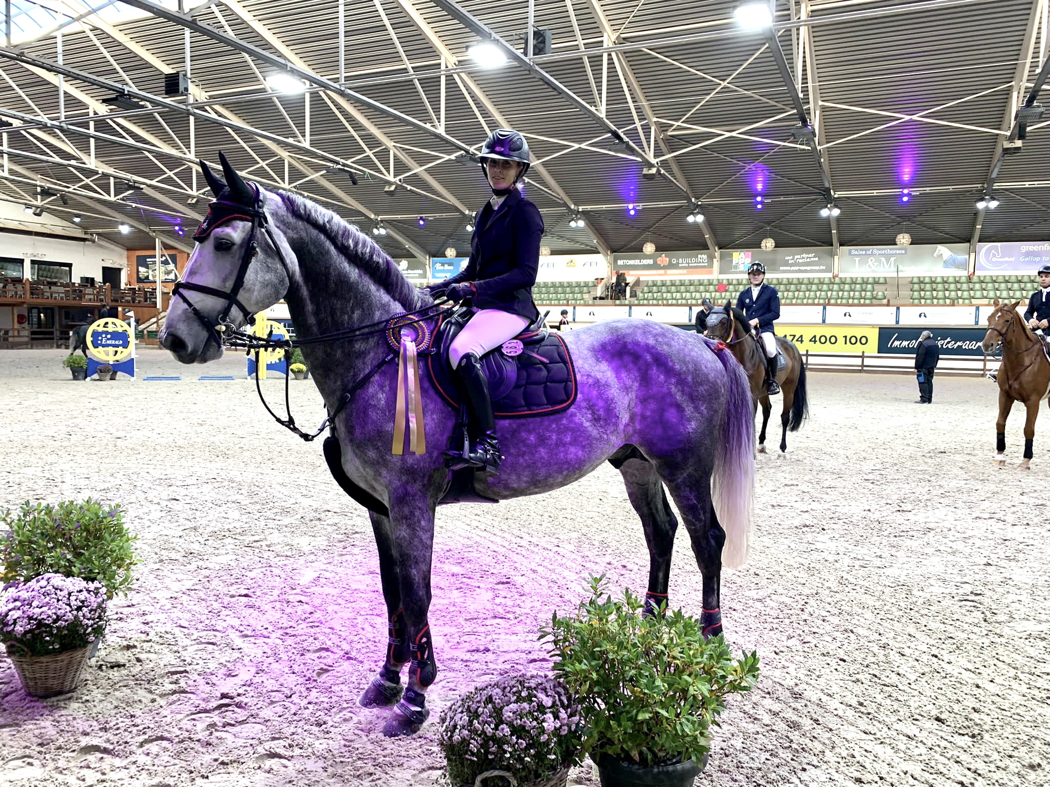Gouden duo Marie Foulon en Pickup de Rase winnen bij de jonge paarden in Lier