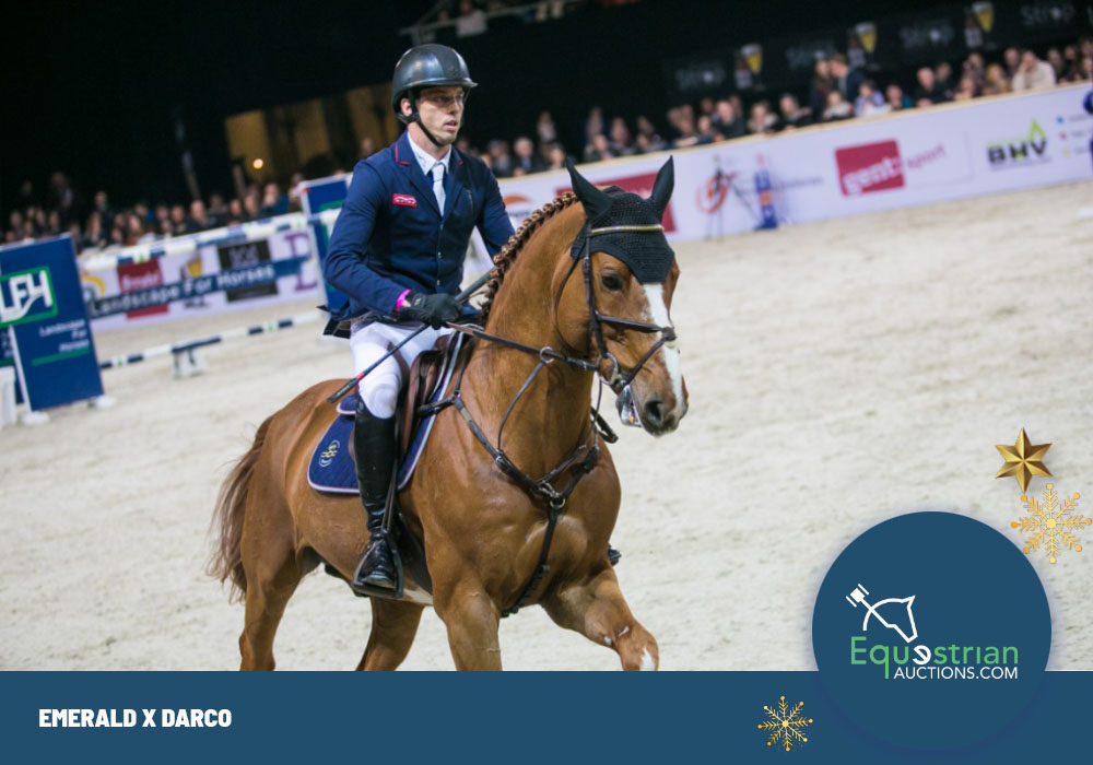 Hickstead out of mother Emerald, Chacco-Blue combined with Carrera de Muze ... Exclusieve embryo auction reveals collection