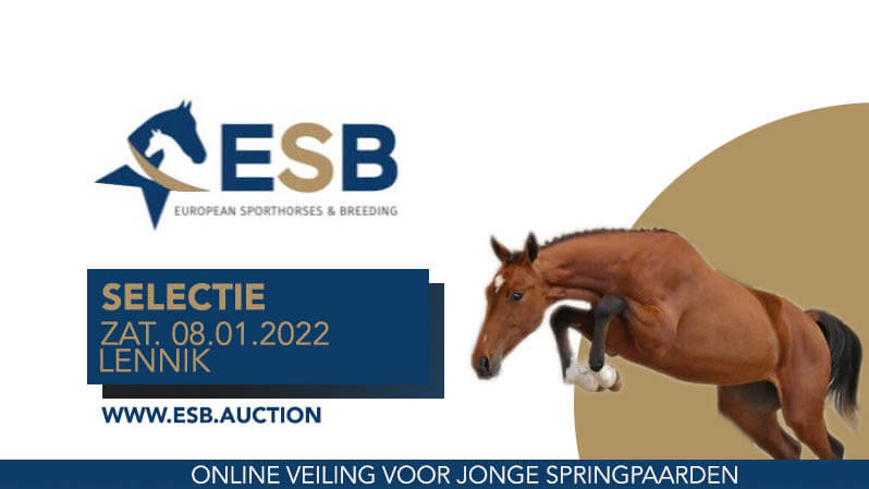 Jouw paard in de nieuwe ESB Auction?