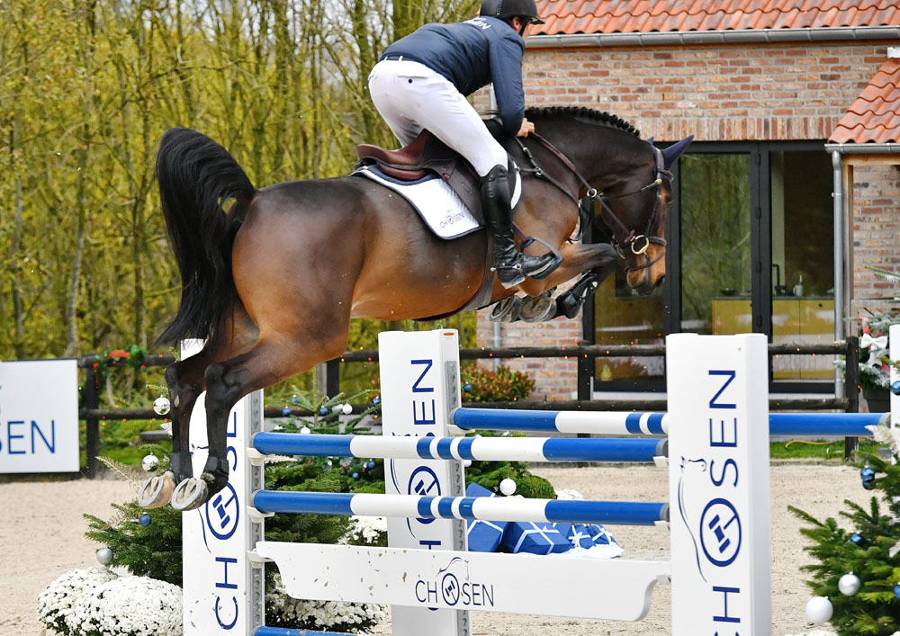 The ideal Christmas gift? Discover the talented showjumping talents of Chosen.auction